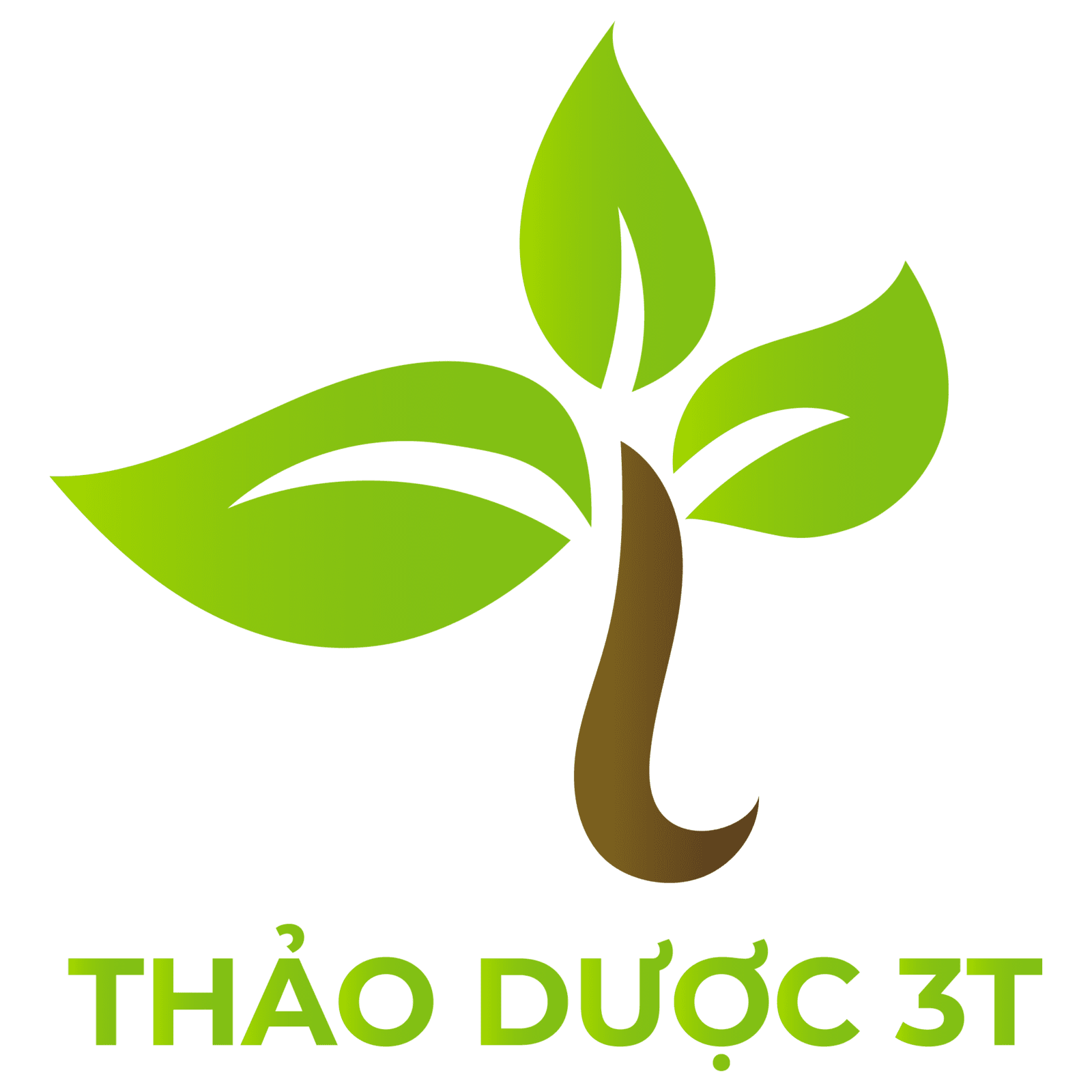 THAODUOC3T